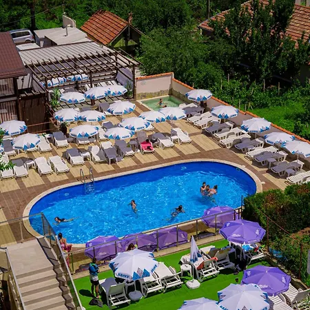 комплекс бабенец